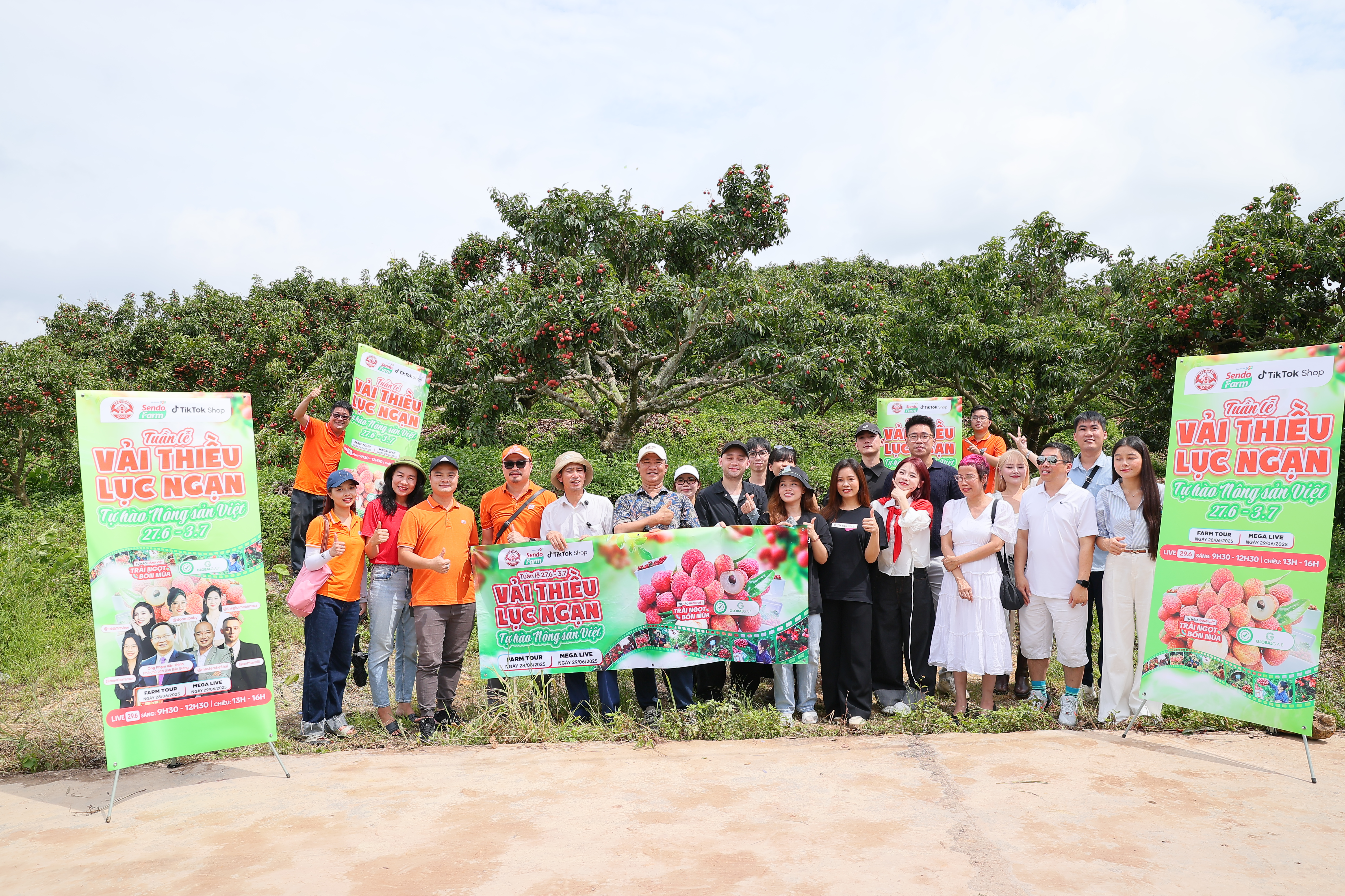 Dự kiến “Tuần lễ vải thiều Lục Ngạn, Tự hào nông sản Việt” tiêu thụ gần 200 tấn quả vải thiều